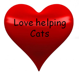 Help Cat Call to Help More Cats In Need