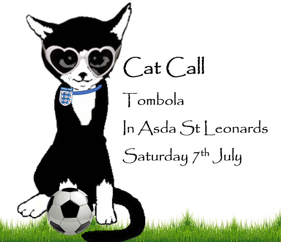 Cat Call Tombola Sat 7th July in Asda