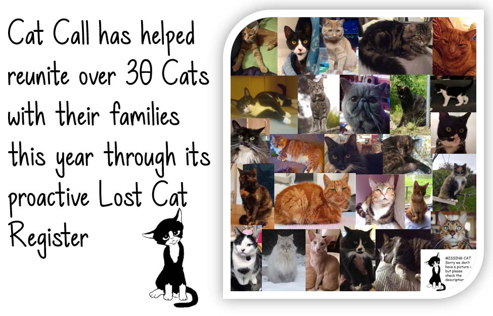 Cat Call has helped reunite over 30 cats this year
