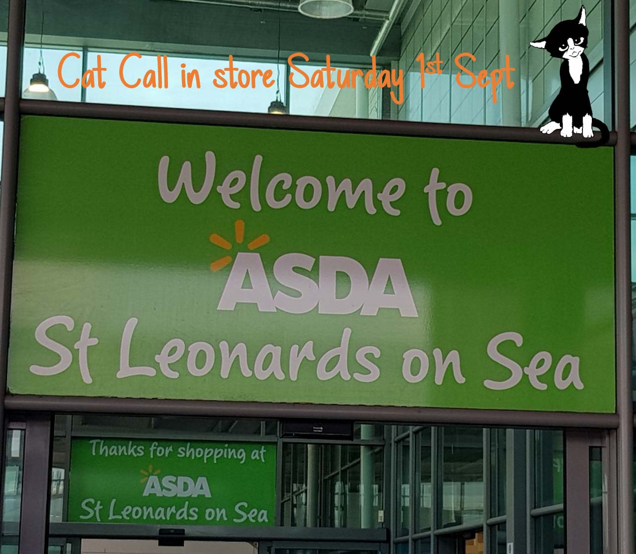 Cat Call in Asda