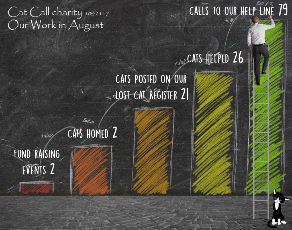 Cat Call Charity 1032117 - Our work in August