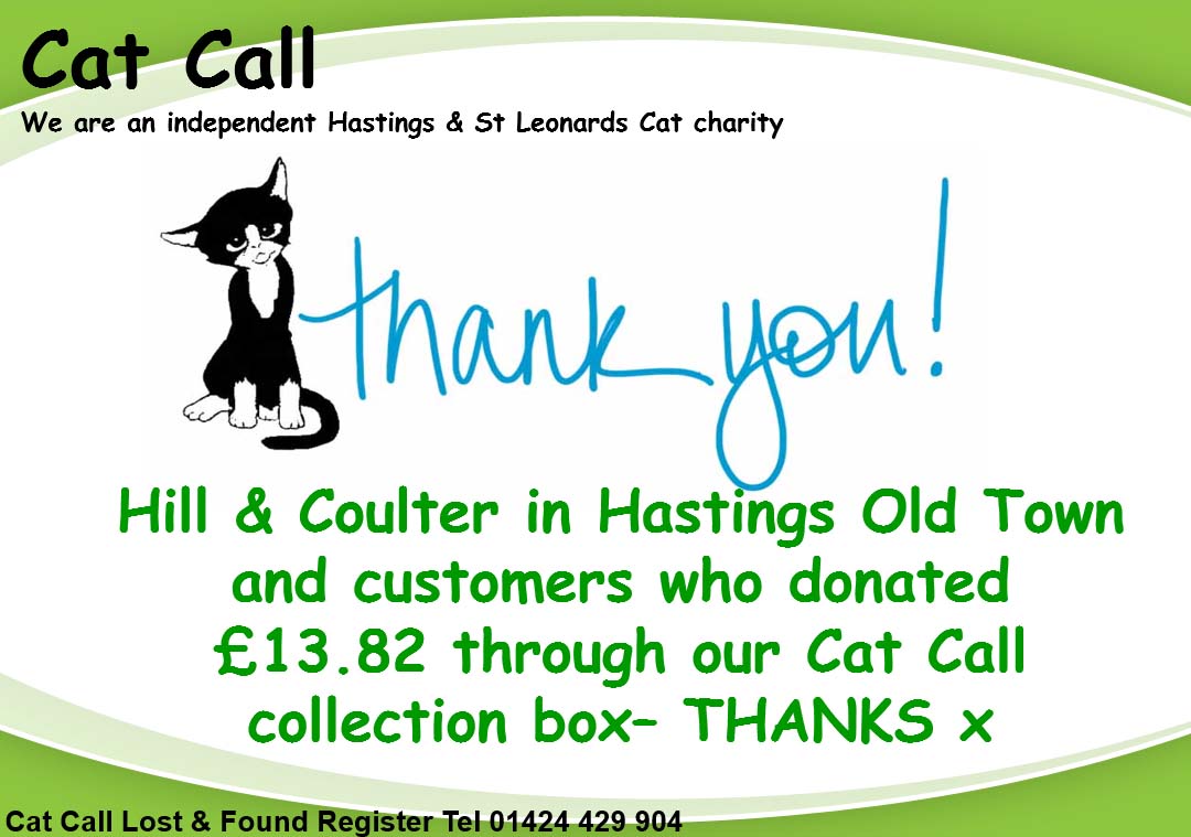Thank you Hill and Coulter from Cat Call