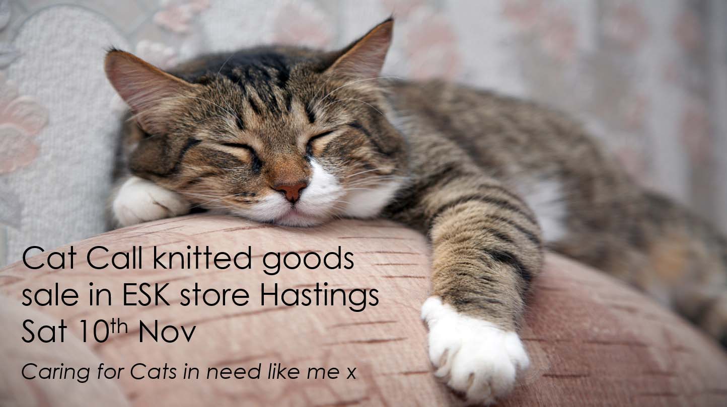 Cat Call charity at ESK Hastings
