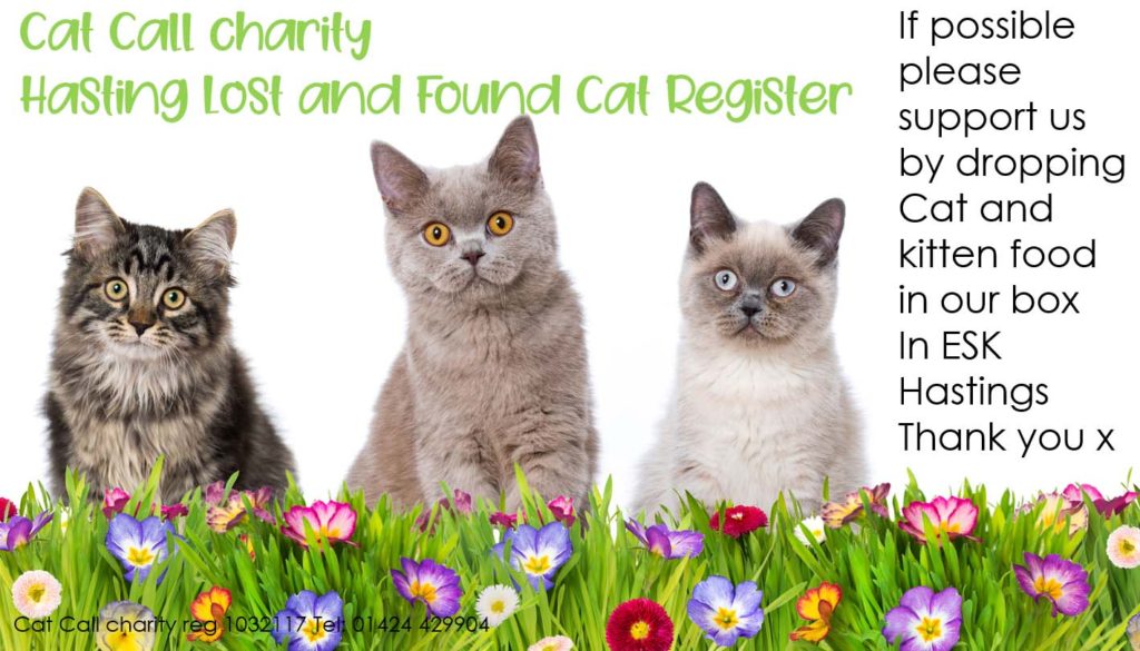 Cat Call Charity Food Donation Box in ESK Hastings Cat Call UK