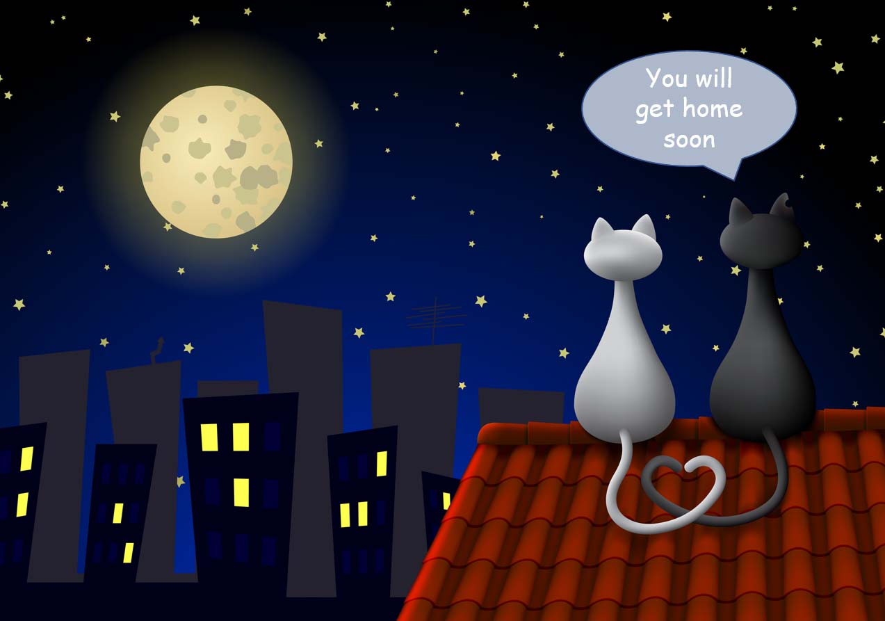 This image has an empty alt attribute; its file name is Get-home-with-Cat-Calls-help.jpg