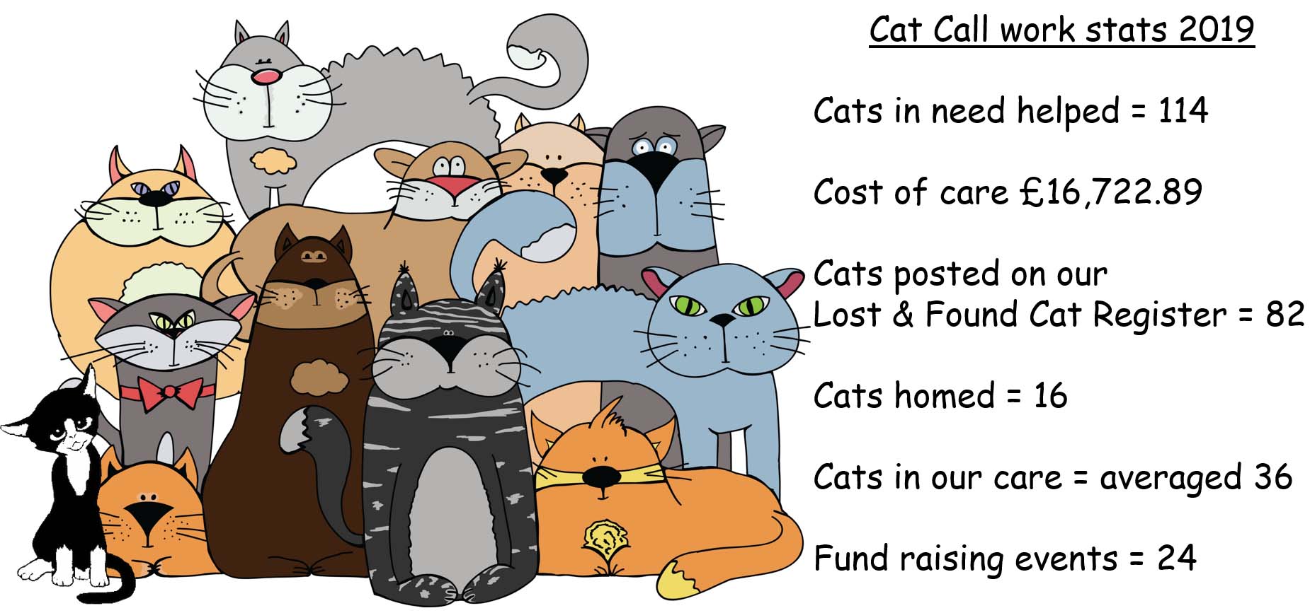 Cat Call Charity Work Stats 2019