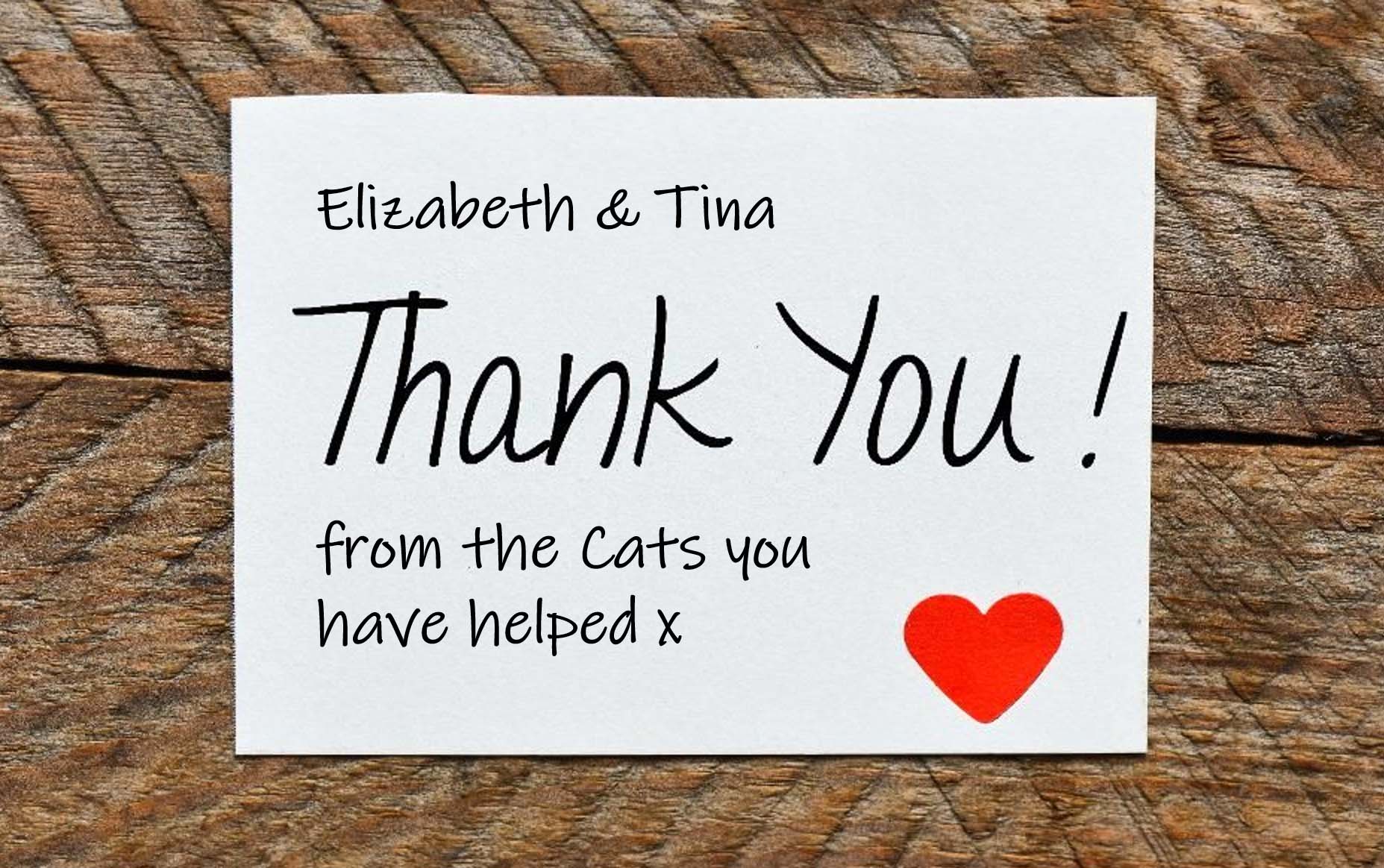 Thank You Elizabeth and Tina