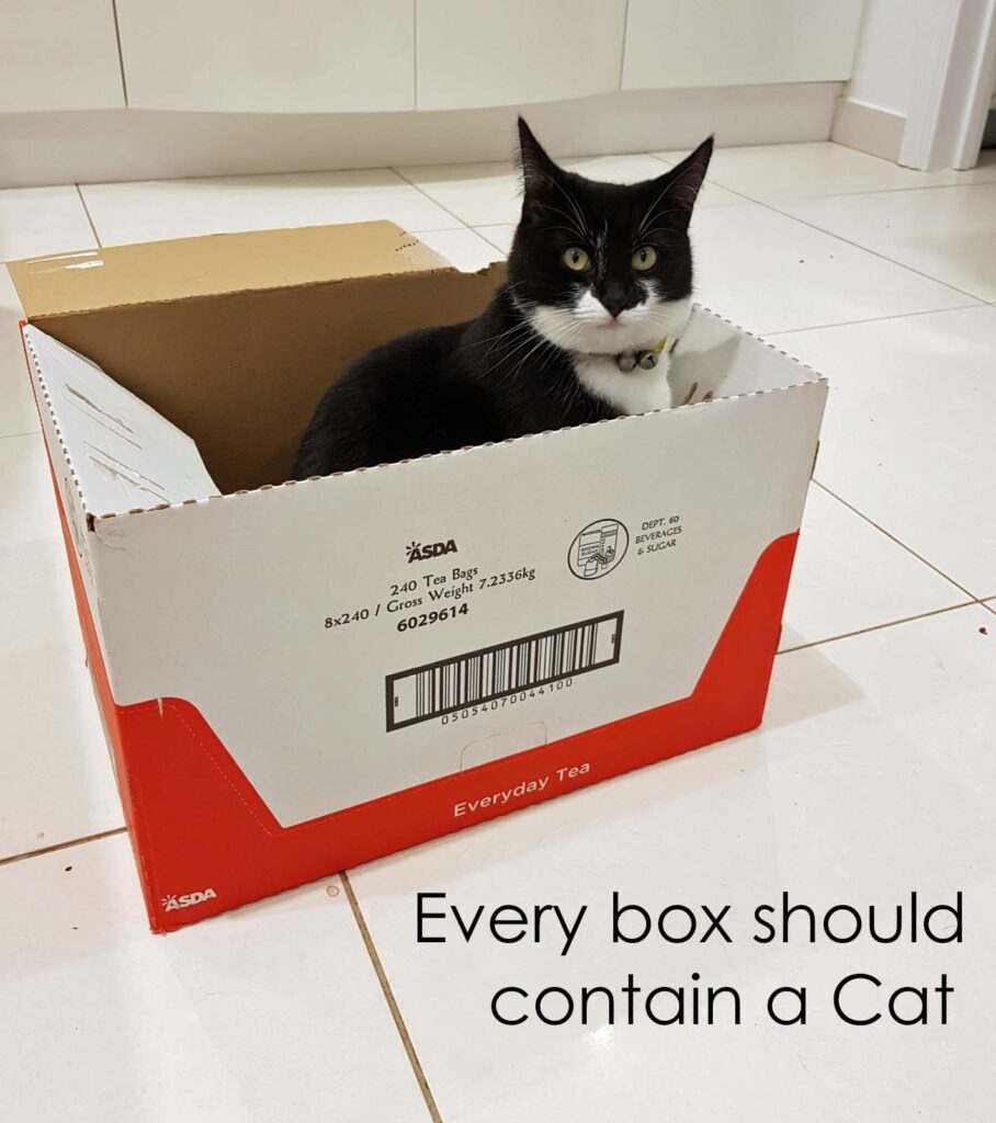 Cats love a box