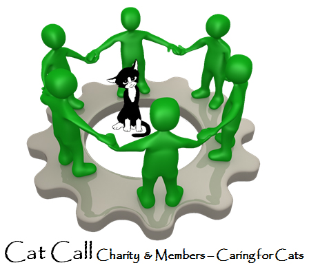 Cat CAll charity 1032117