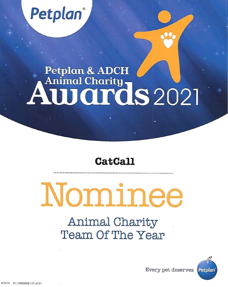 Cat Call Nominated for 2021 Award