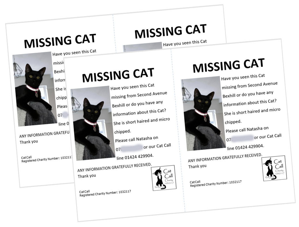 The Most Effective Way to Get Your Cat Back is Letterbox Leaflets