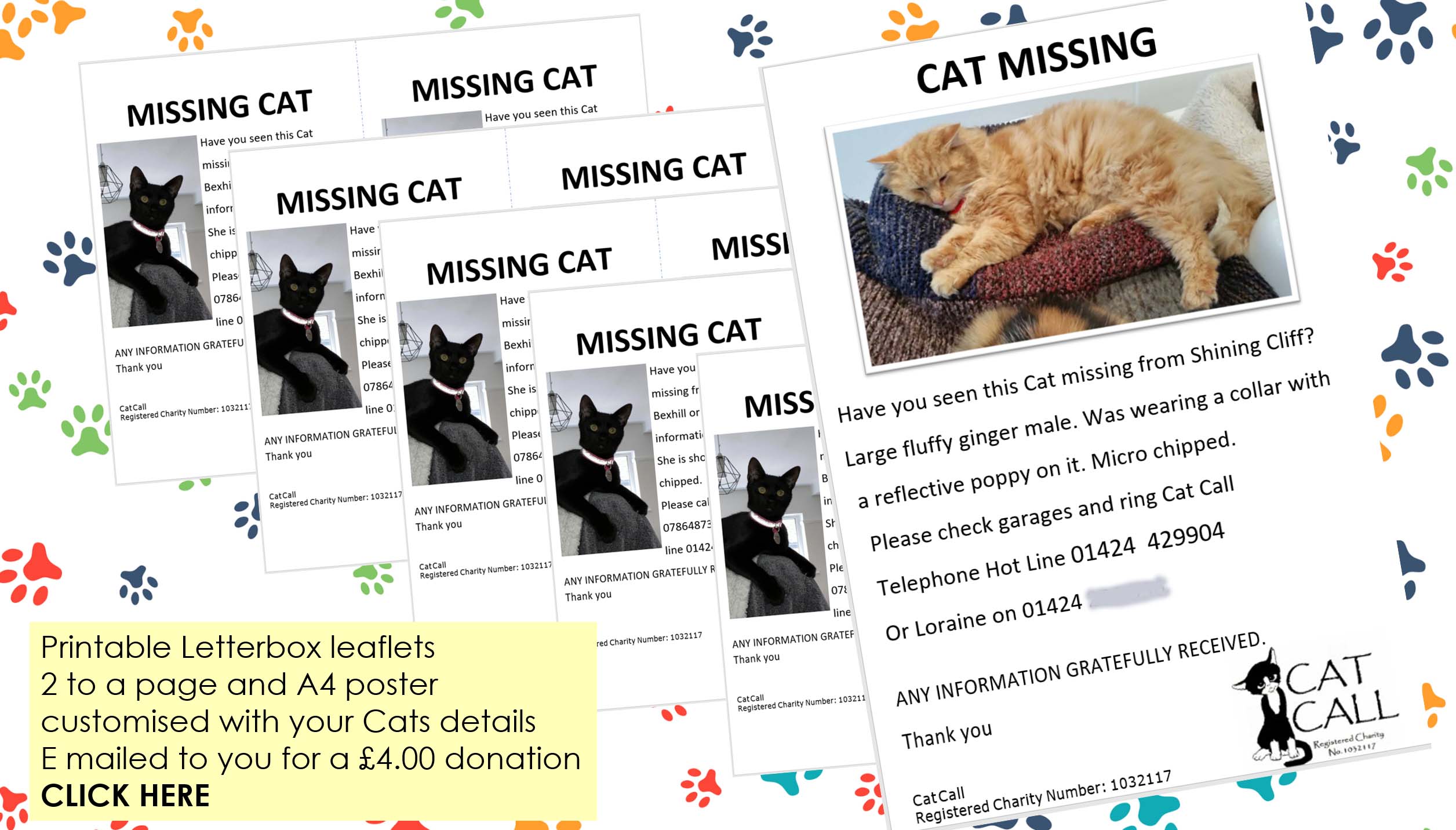 Lost Cat poster and leaflets