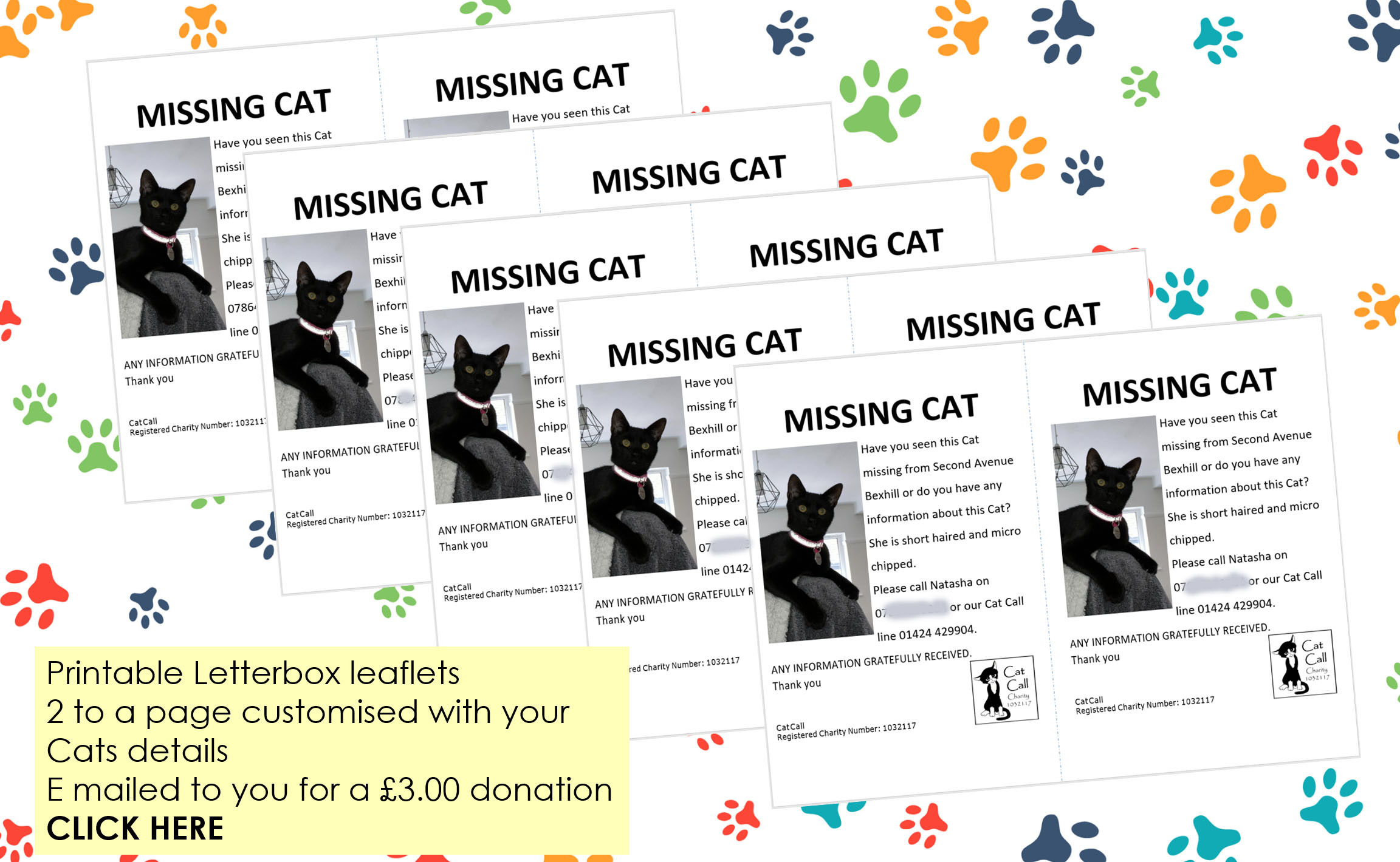 Cat Call lost Cat letterbox leaflets