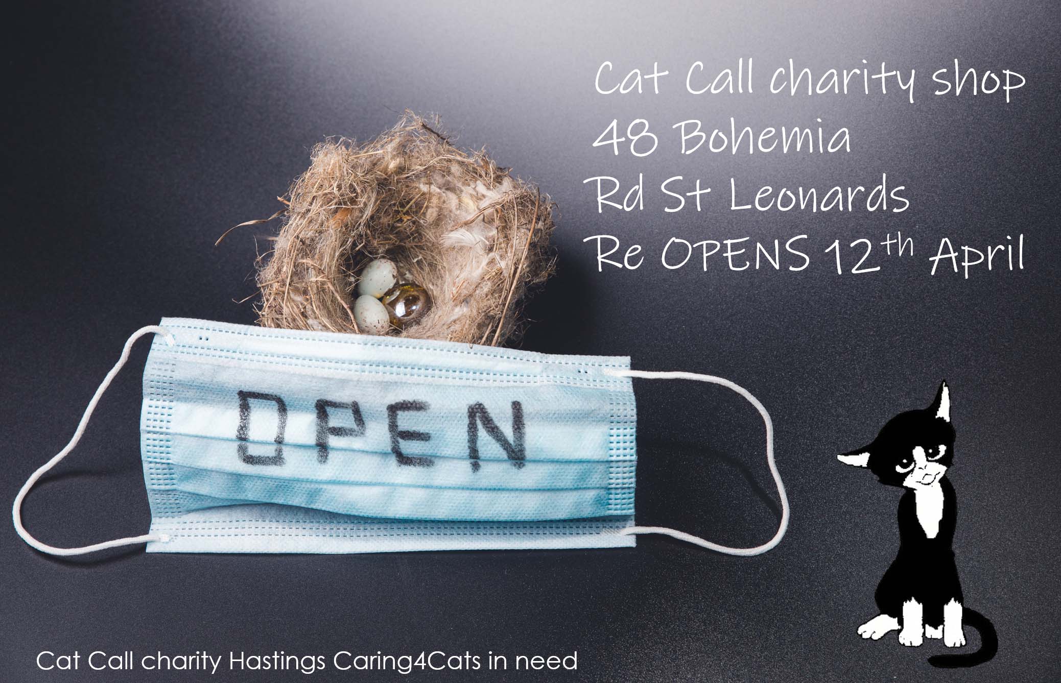 Cat Call Charity Shop Opens 12th April