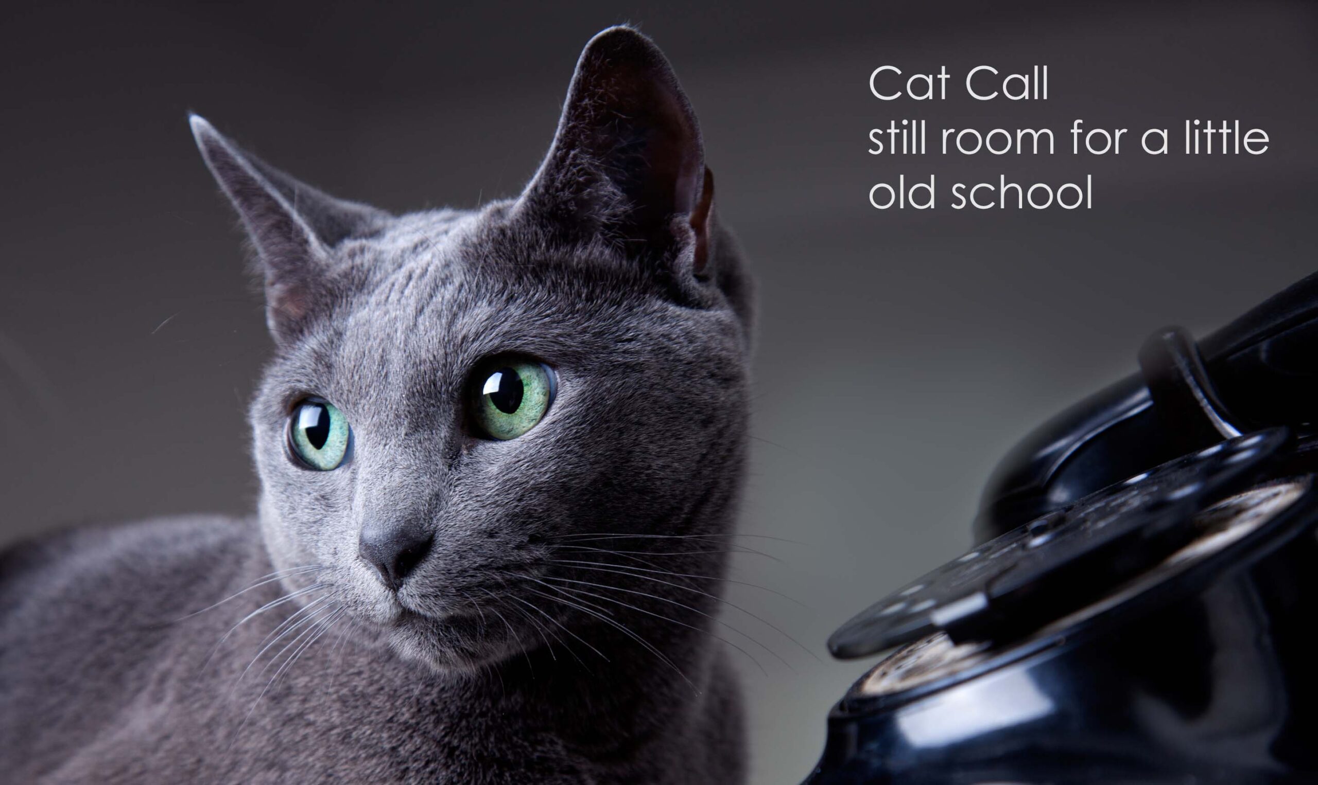 At Cat Call We Dont Mind a Bit of Old School – Need Help? You Can Call US!