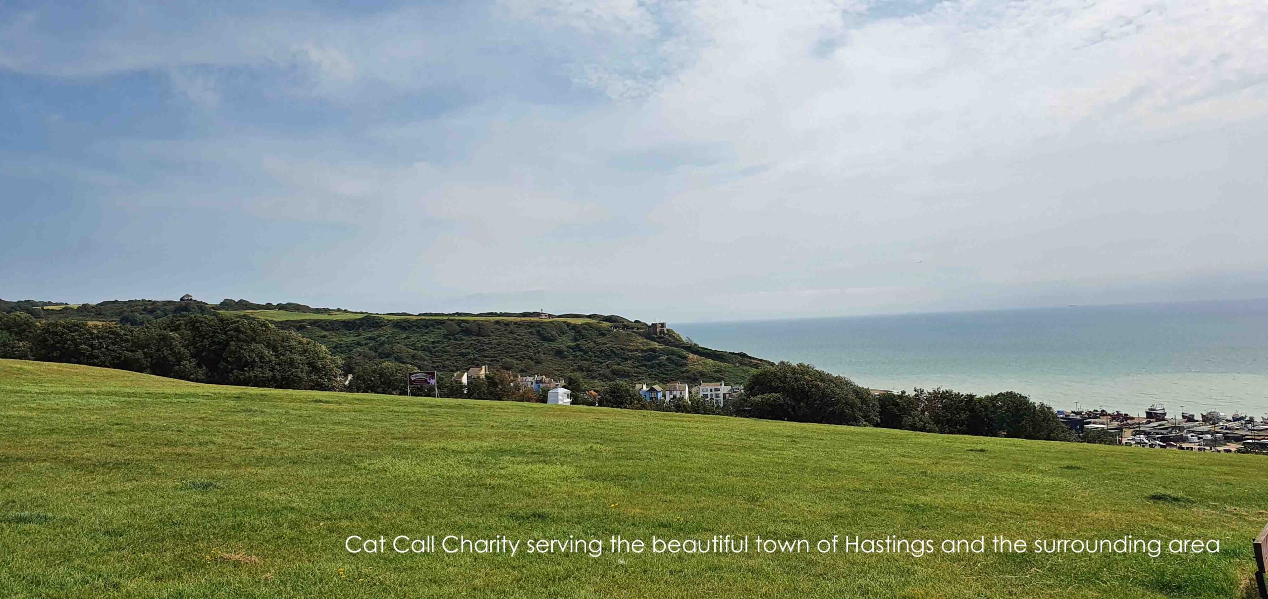 Cat Call charity in Hastings by the sea