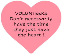 Love Cats, love being a volunteer