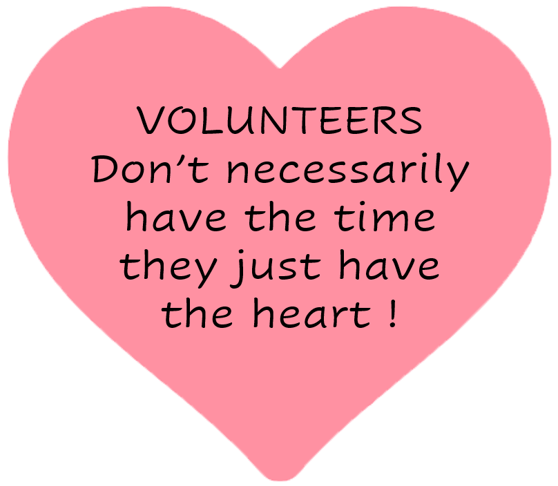 Cat Call UK Cat Call UK About Cat Call About Cat Call charity Hastings