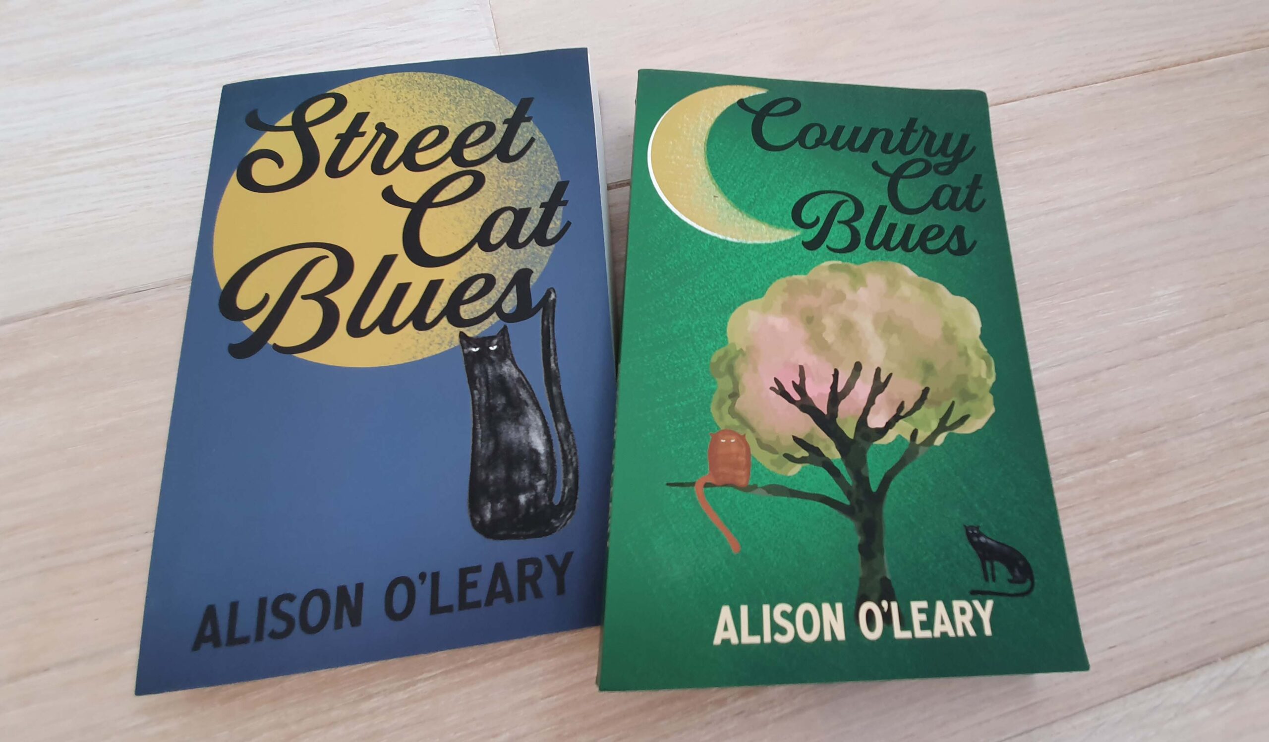 Street Cat and Country Cat Blues by Alison O Leary