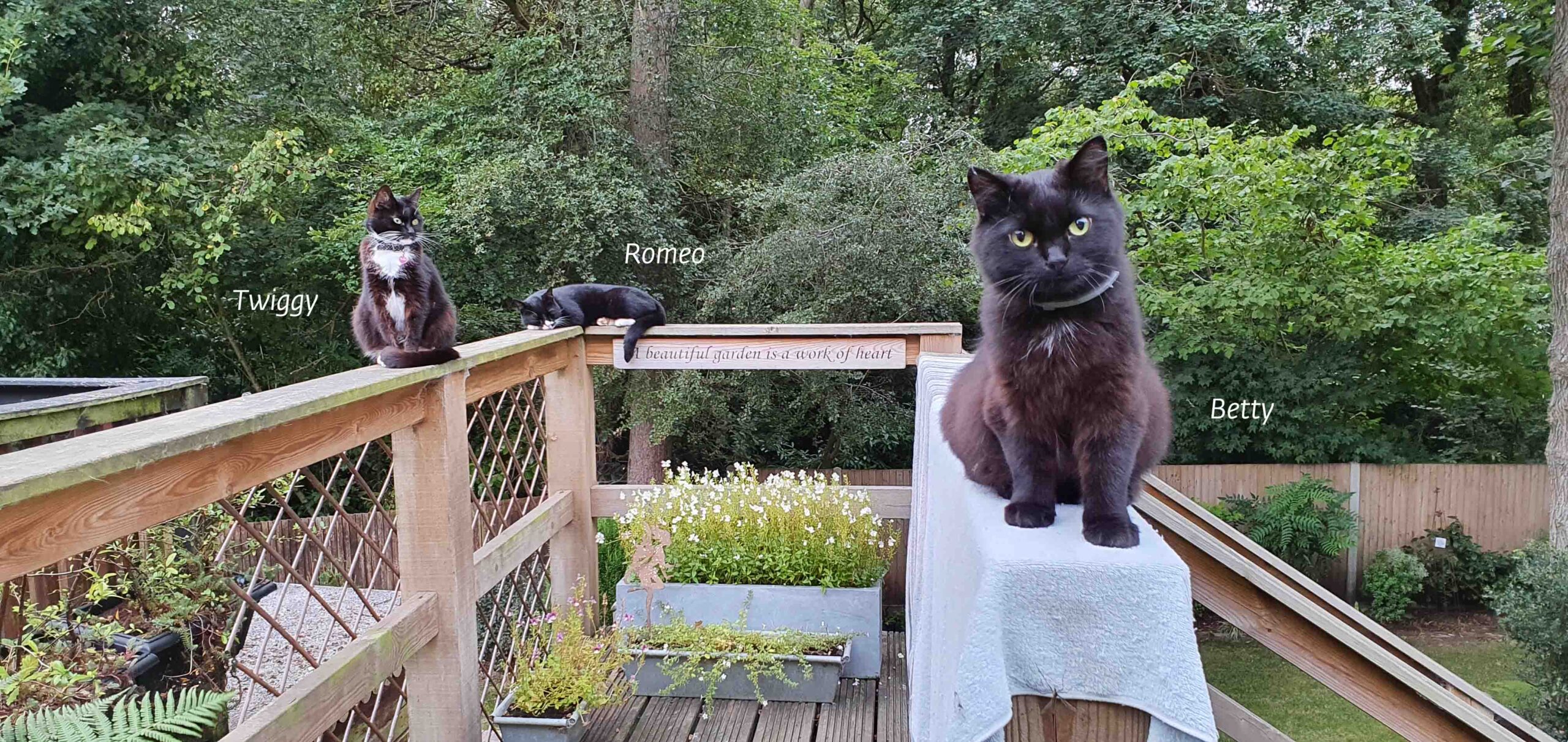 Friends at Cat Call