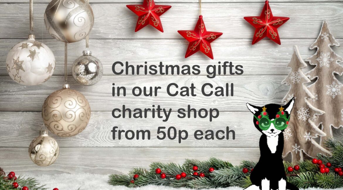 Start Your Christmas Shopping at our Cat Call Charity Shop