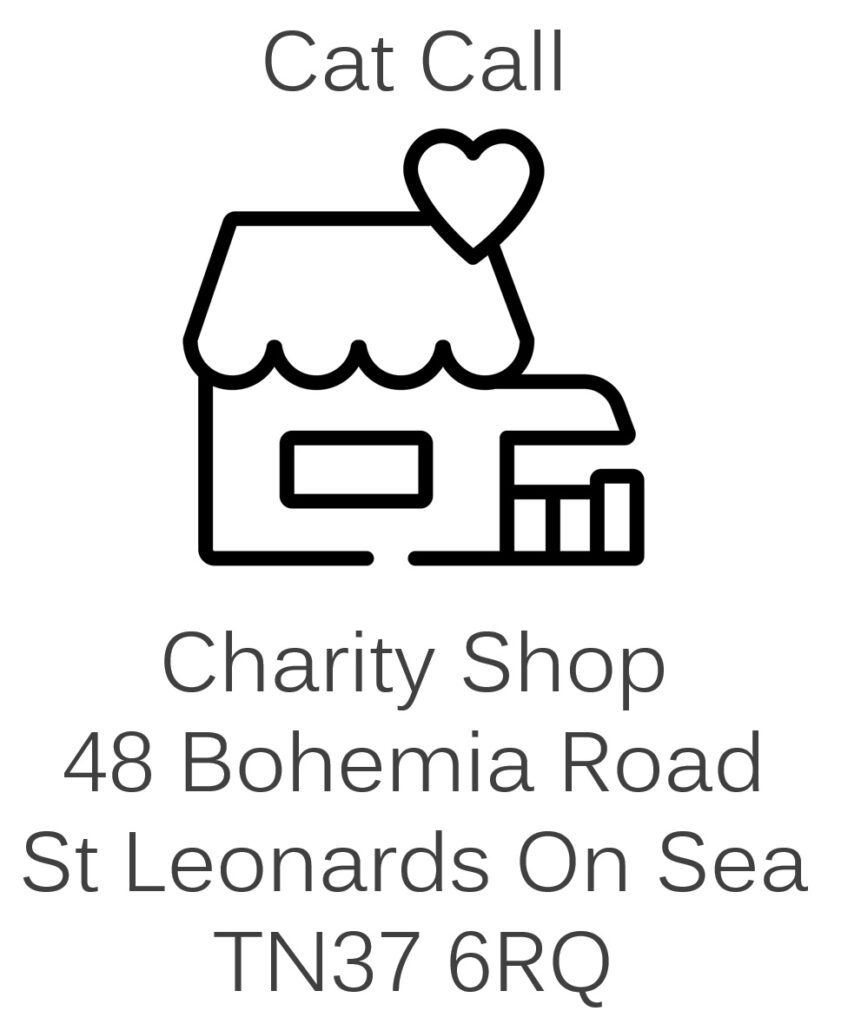 Cat Charity shop in St Leonards On Sea