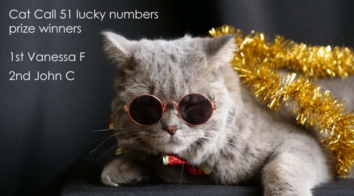 Cat Call 51 Lucky Numbers Winners