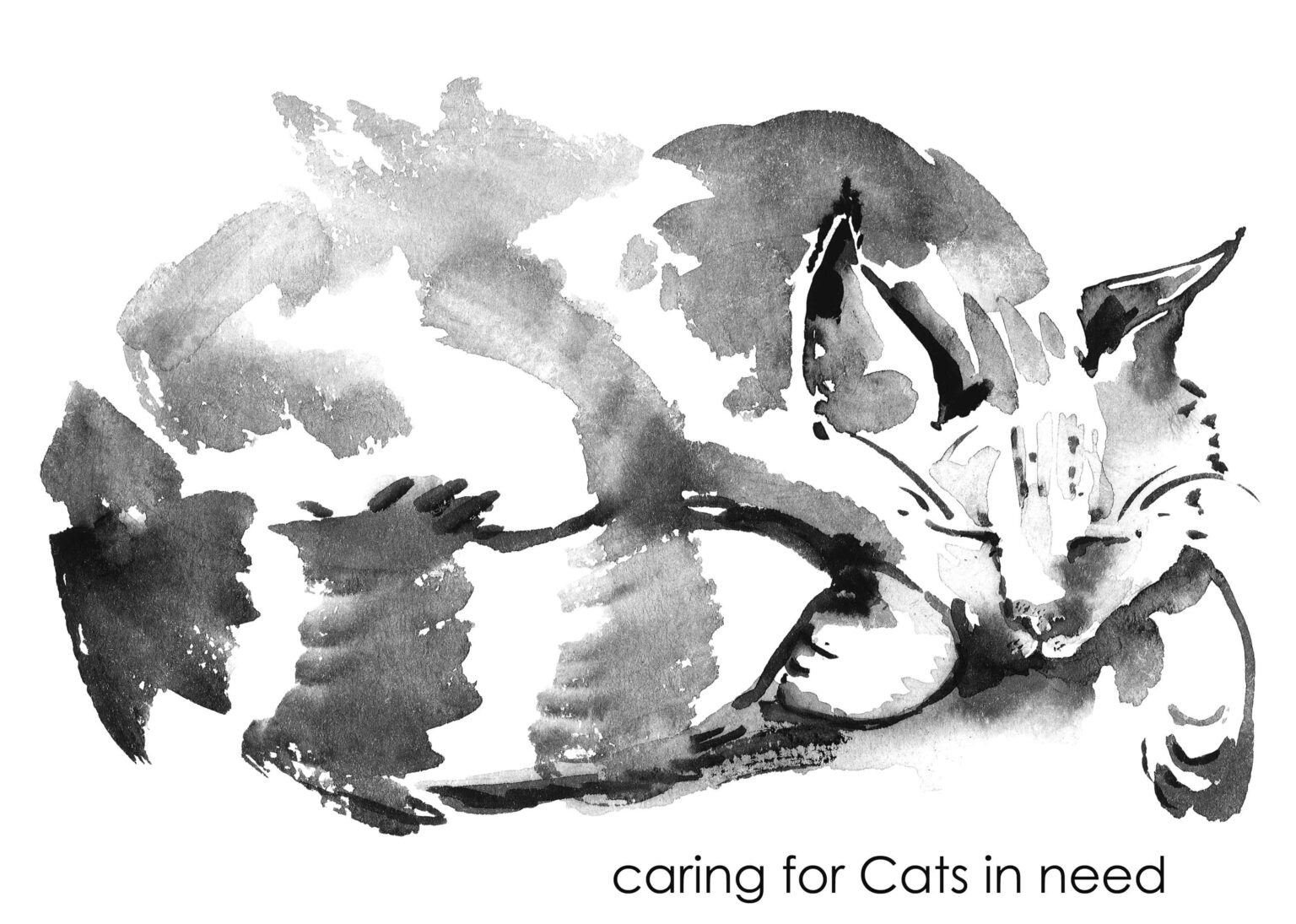 Cat Call UK Cat Call UK About Cat Call About Cat Call charity Hastings