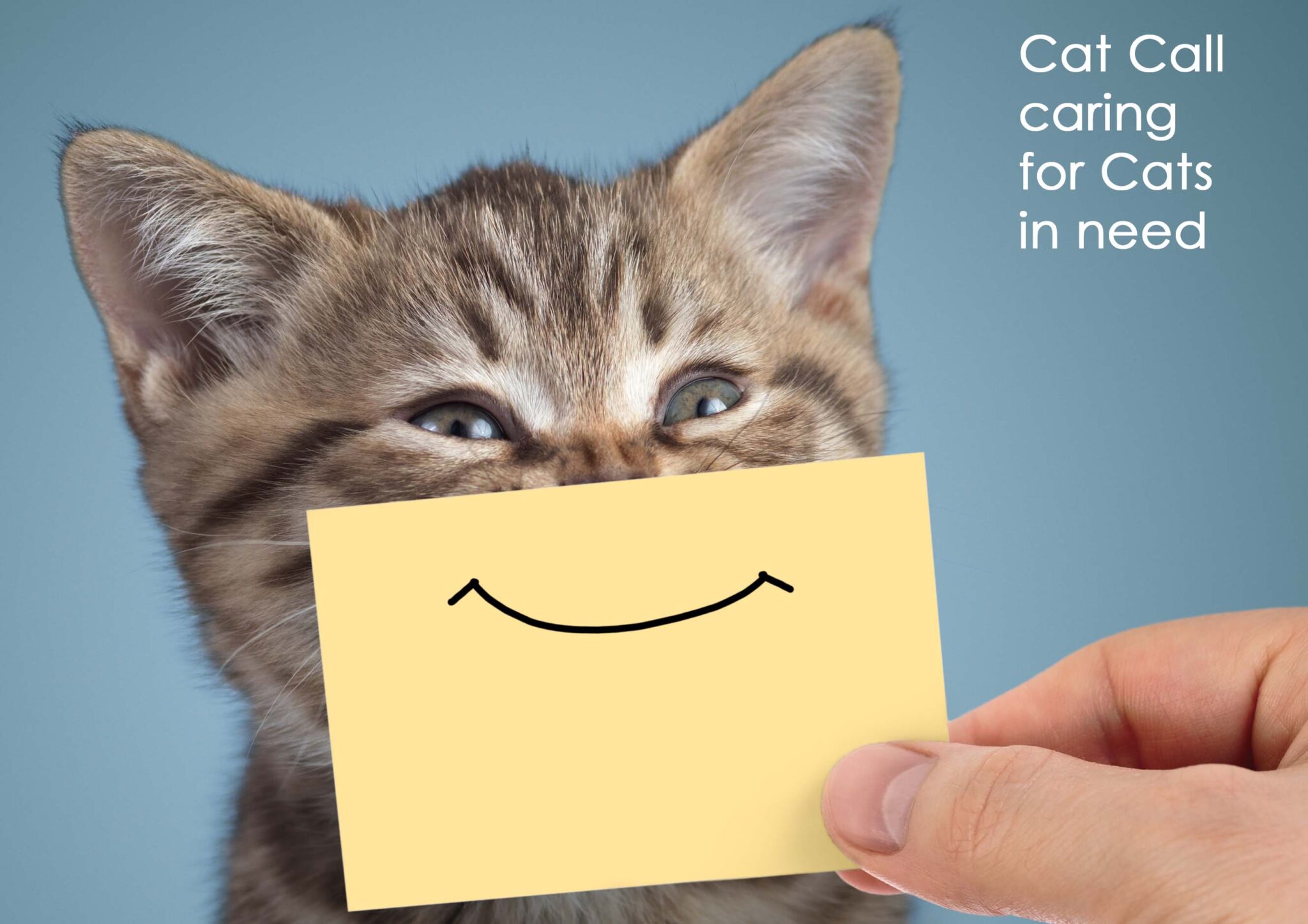 You Shop and Amazon Donate to Cat Call - Cat Call UK