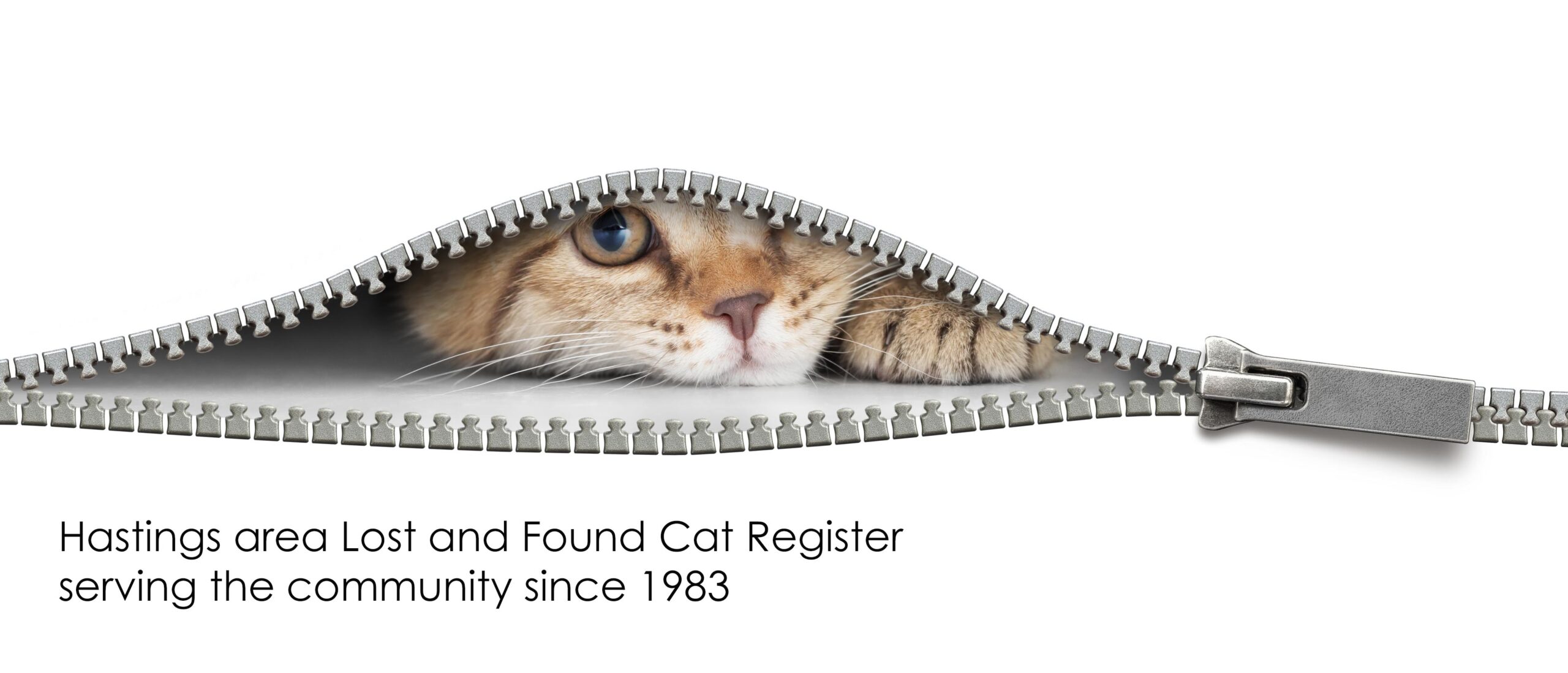 Loast Cat Register