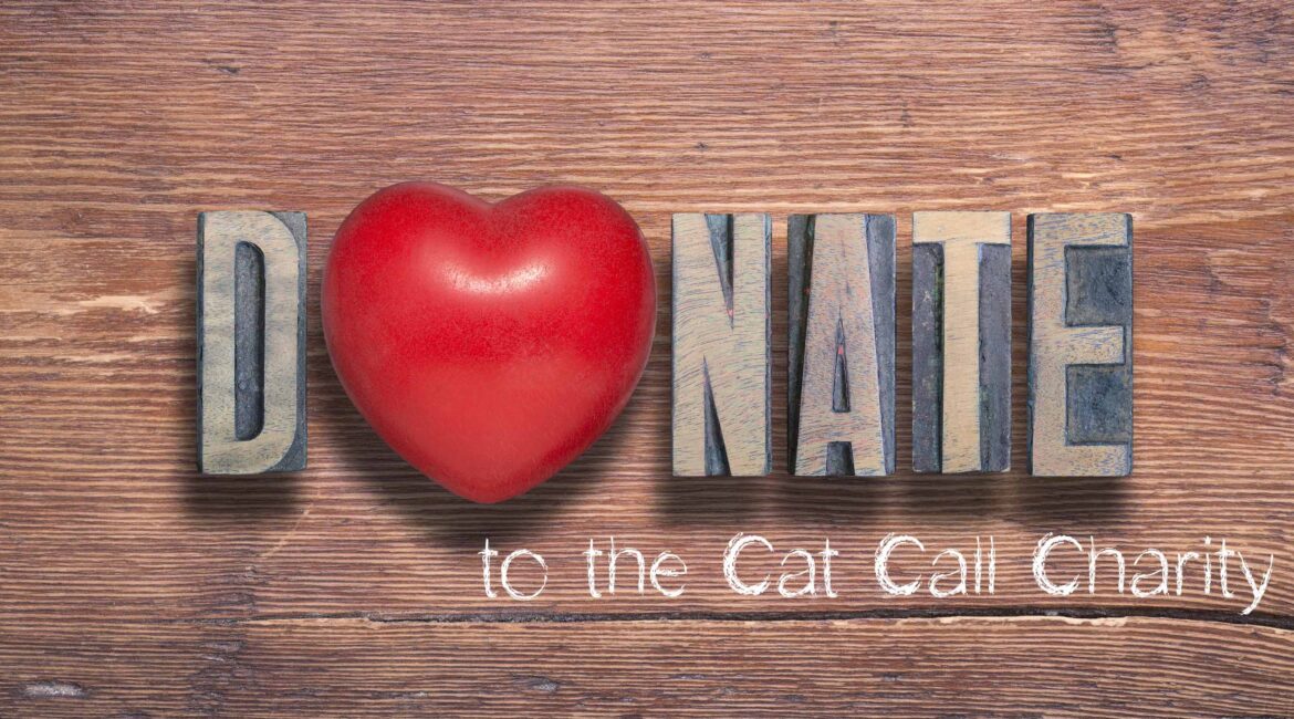 There Are Lots of Ways to Donate to Cat Call and Help Care For Cats in need