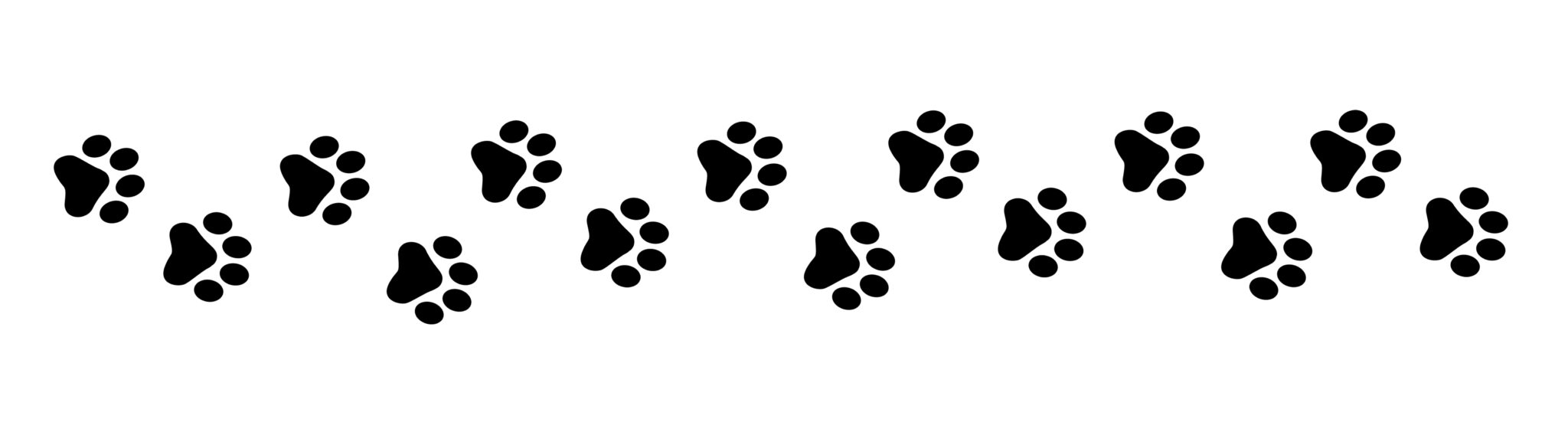 Lots of Ways You Can Donate To Cat Call Cat Call UK