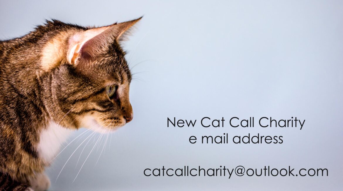 Cat Call has a new e mail address