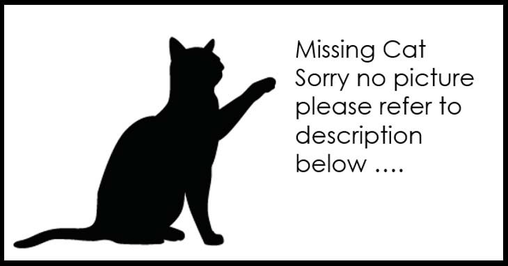 Lost Cat Register