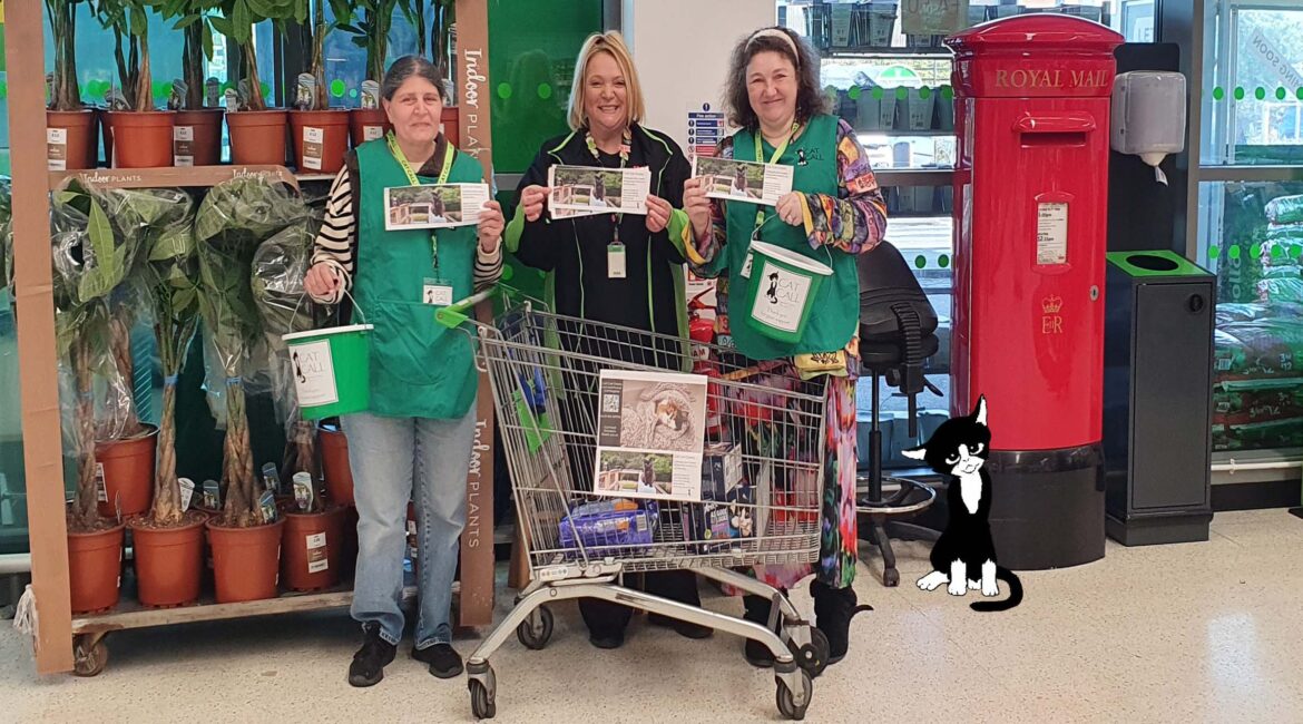 We had a great day in Asda St Leonards On Sea