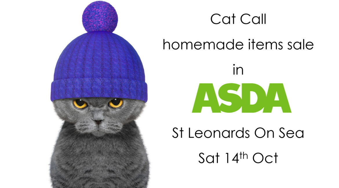 Cat Call Charity Table Sale in ASDA St Leonards On Sea