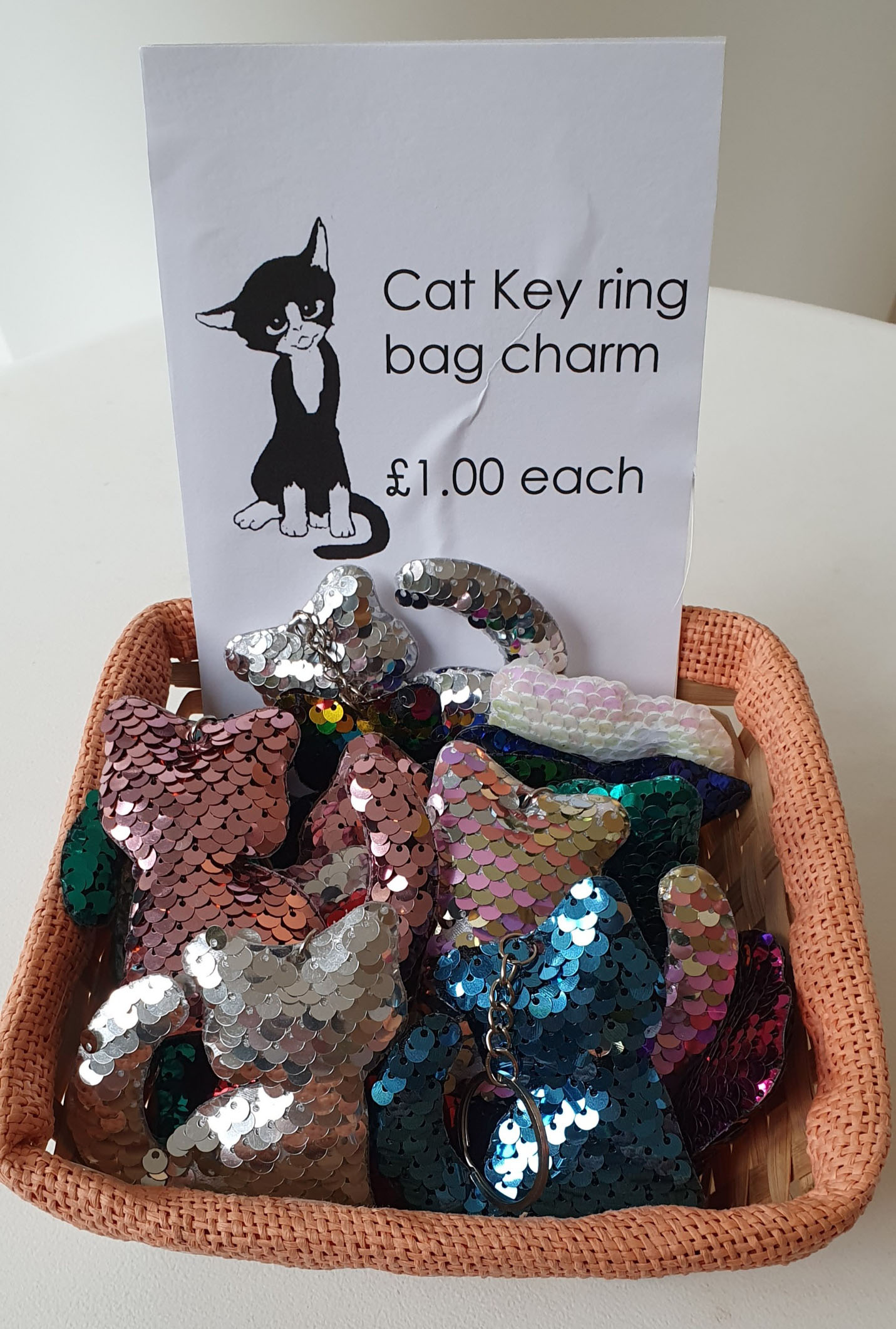 Cat Call charity raising money for cats in need
