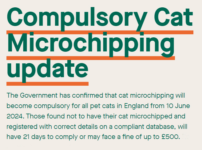 Micro chip your Cat, it is not an option