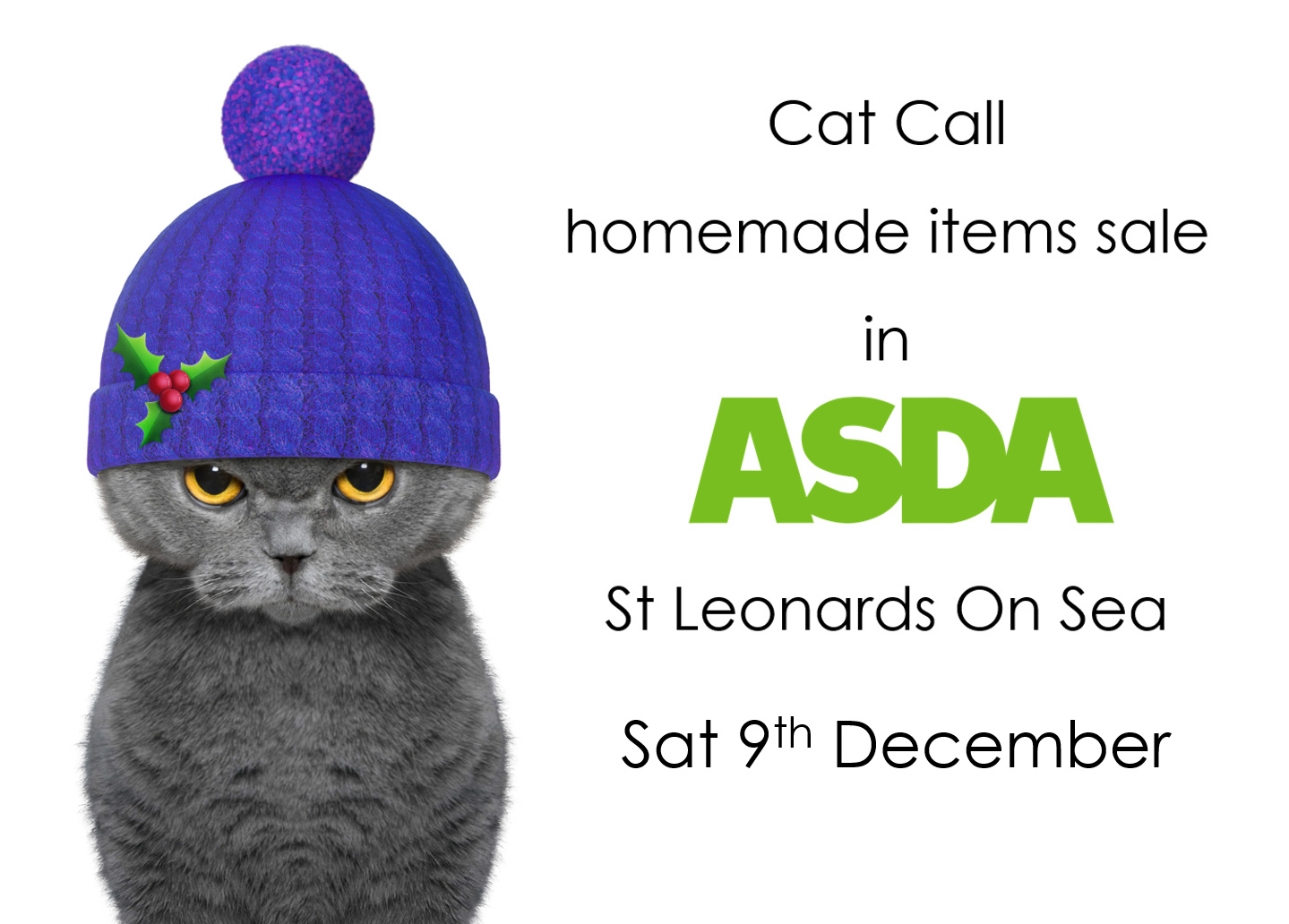 Cat Call charity table sale in Asda