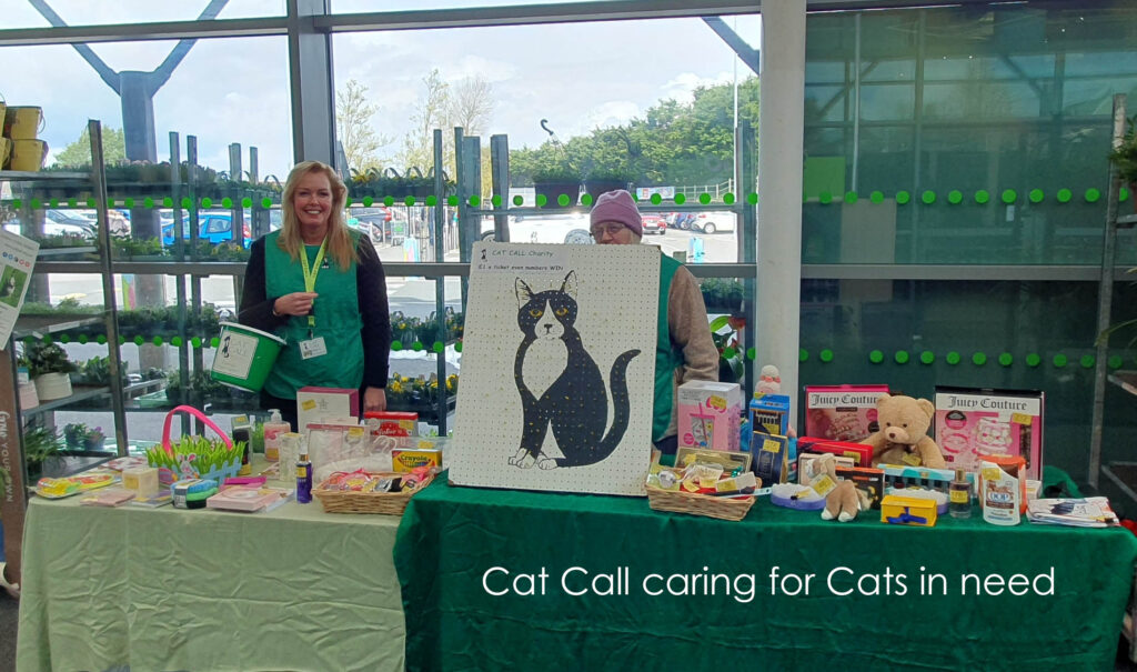 Cat Call charity