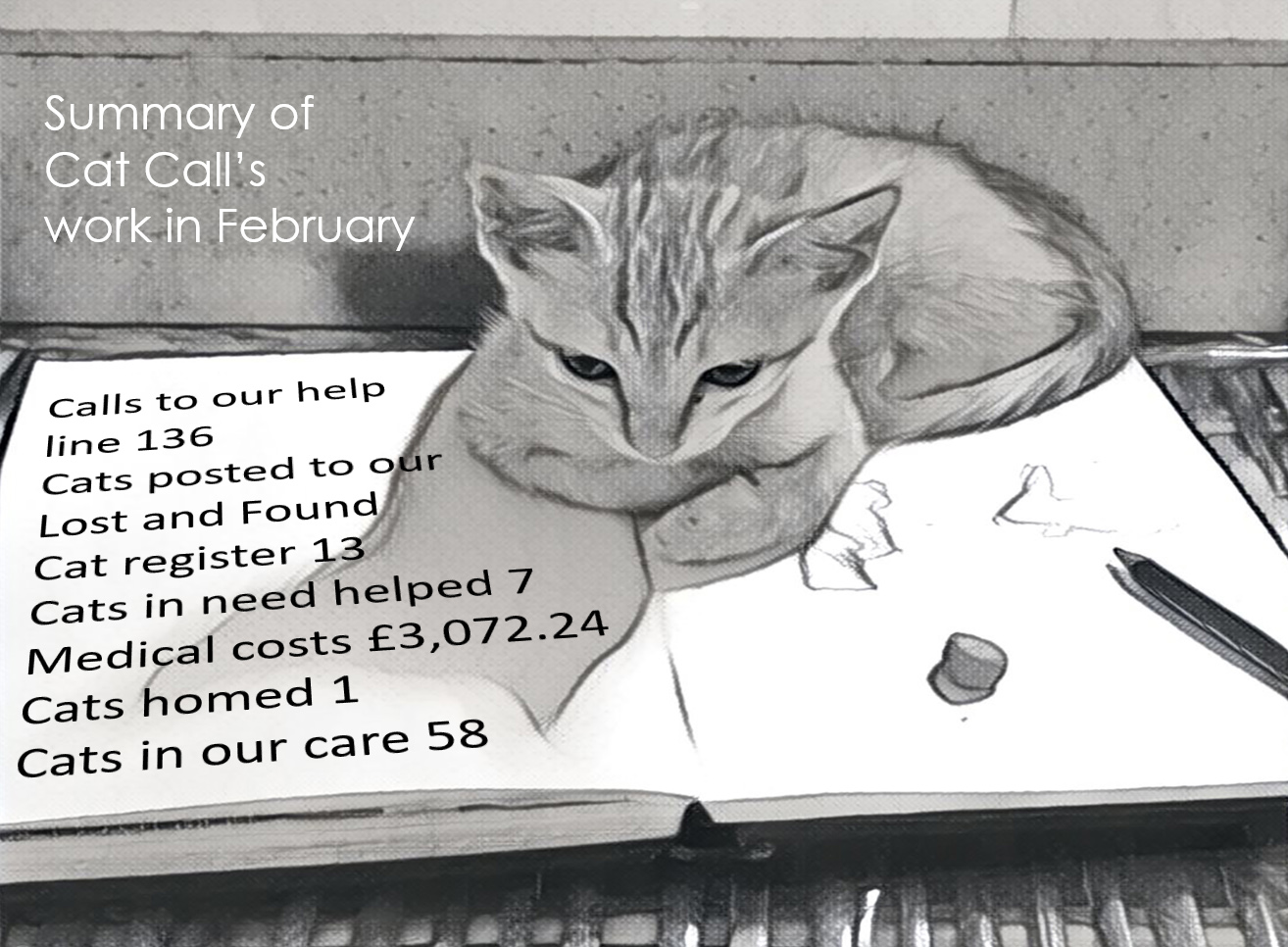 Cat Call working in Hastings