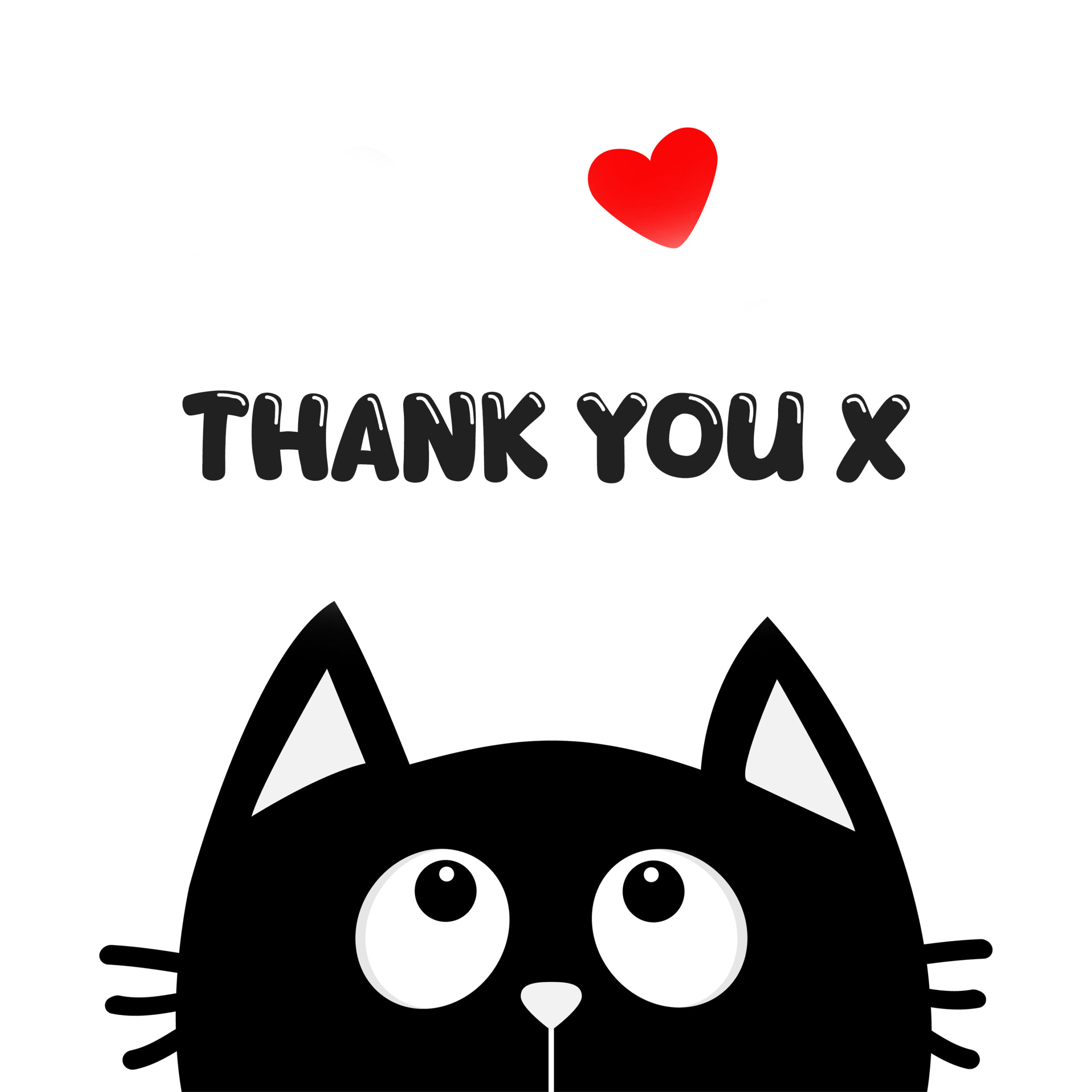 Thank you from the Cats xx