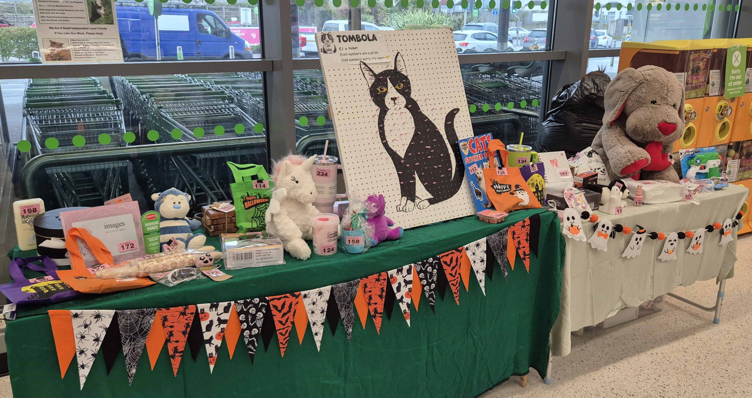 Cat Call Charity in Asda