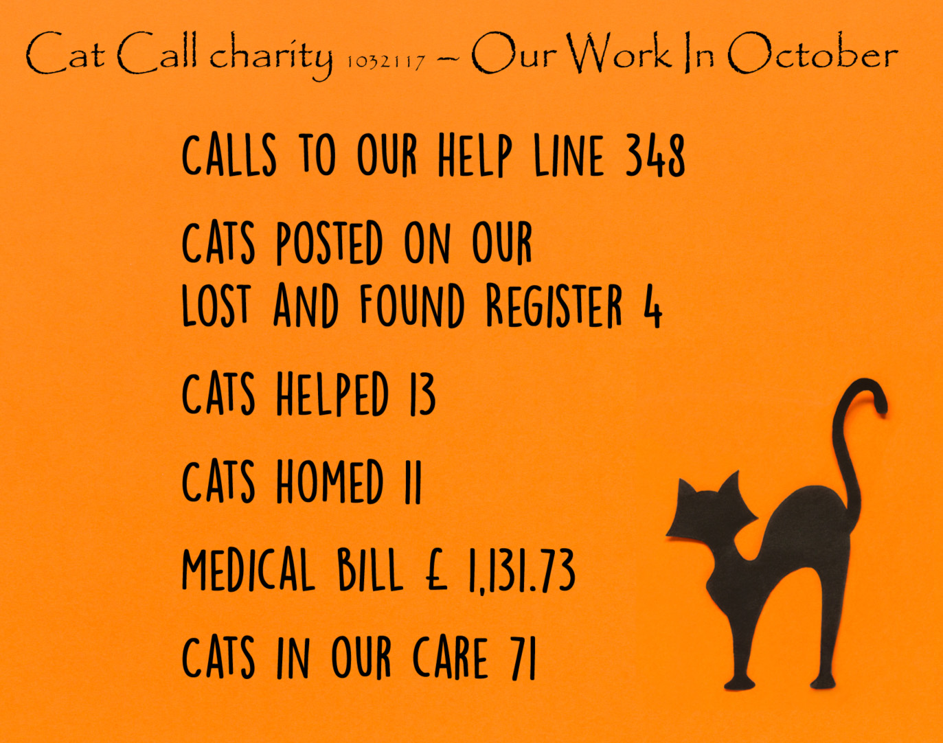 Cat Call Charity caring for Cats in need