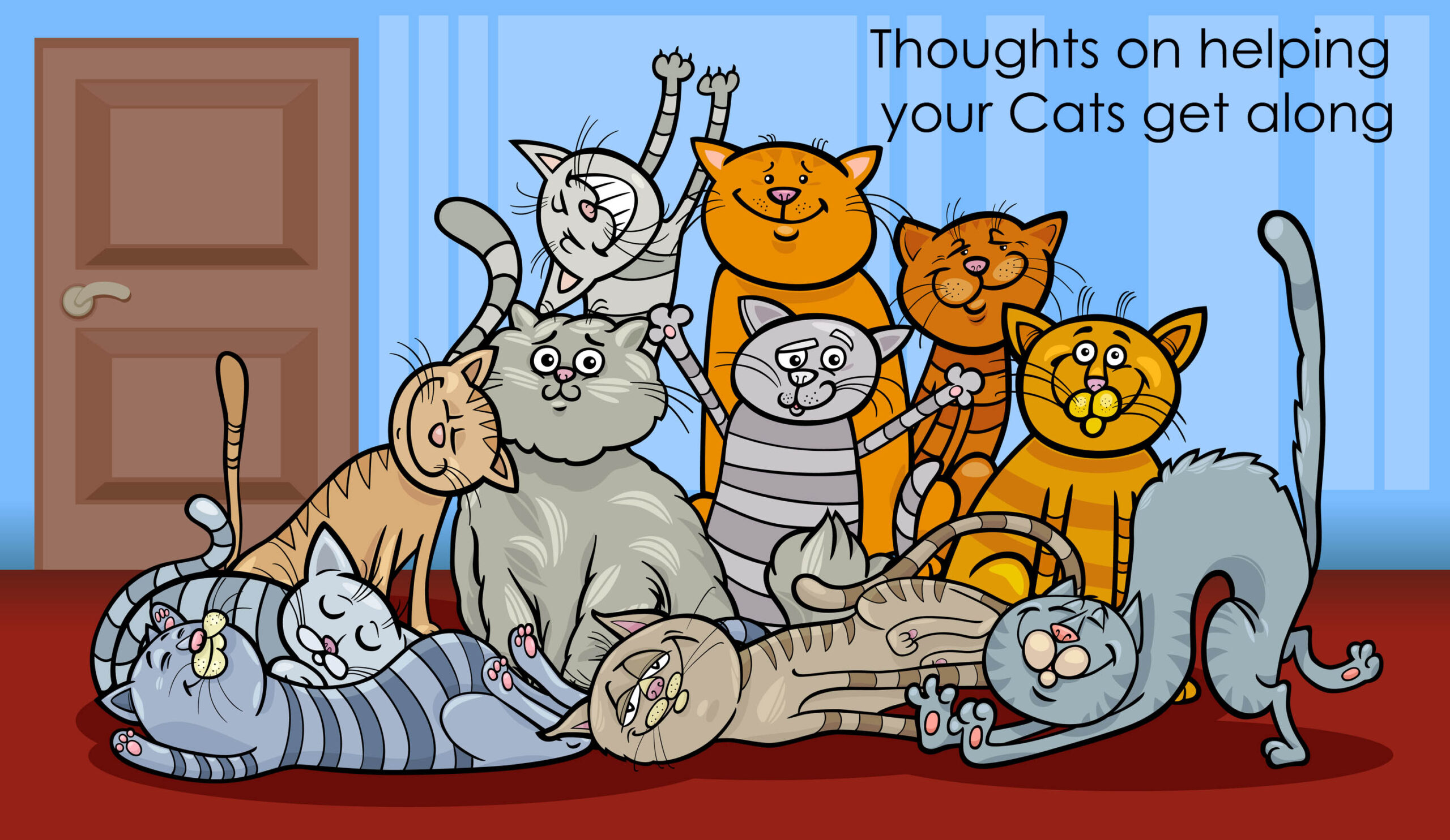 Cat Call Charity thoughts