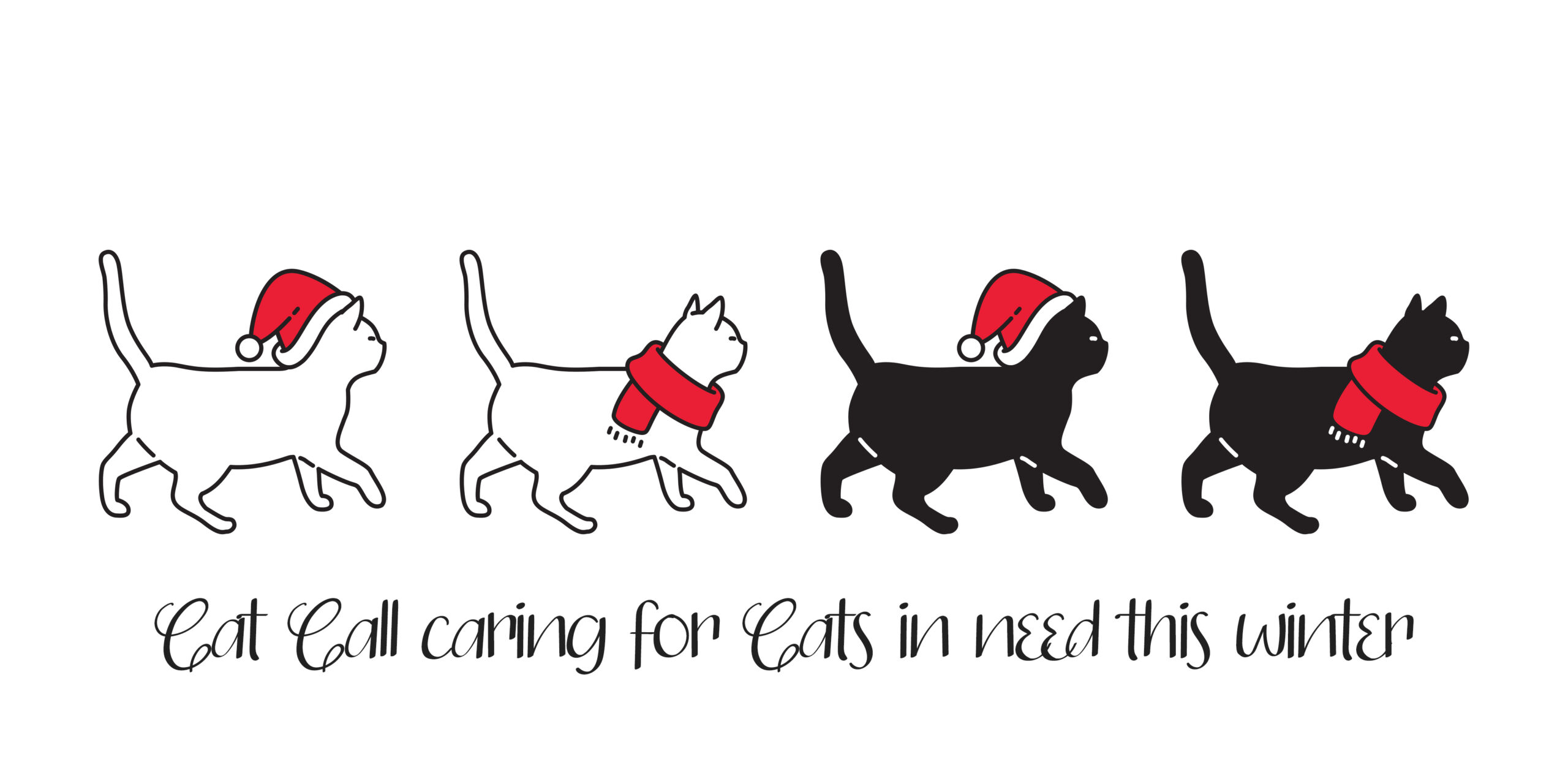 Caring for Cats in need