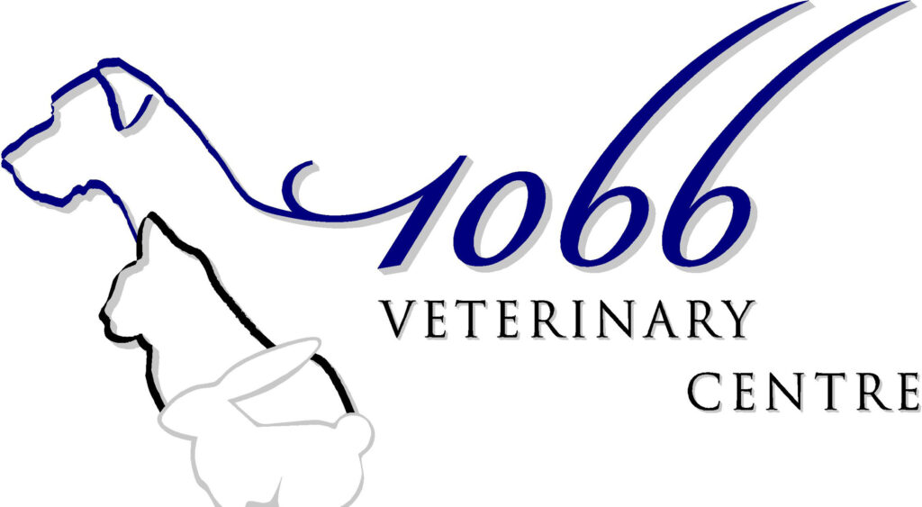 1066 Veterinary Centre in St Leoanrds On Sea