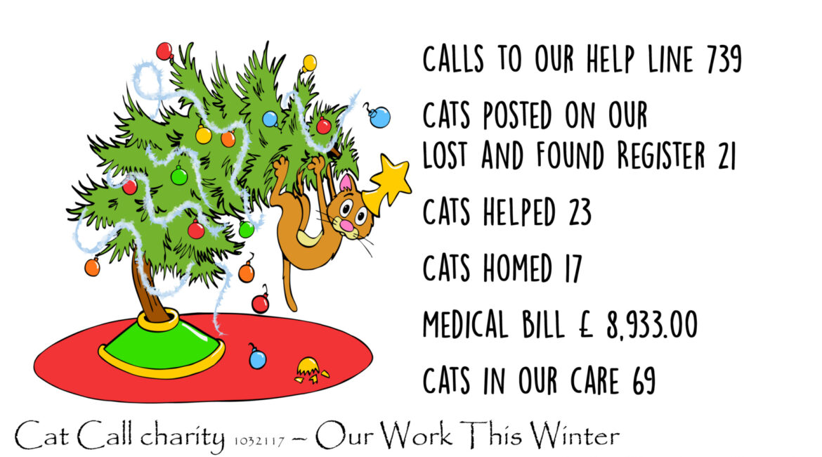 Cat Call Charities work with help from IVC Evidensia