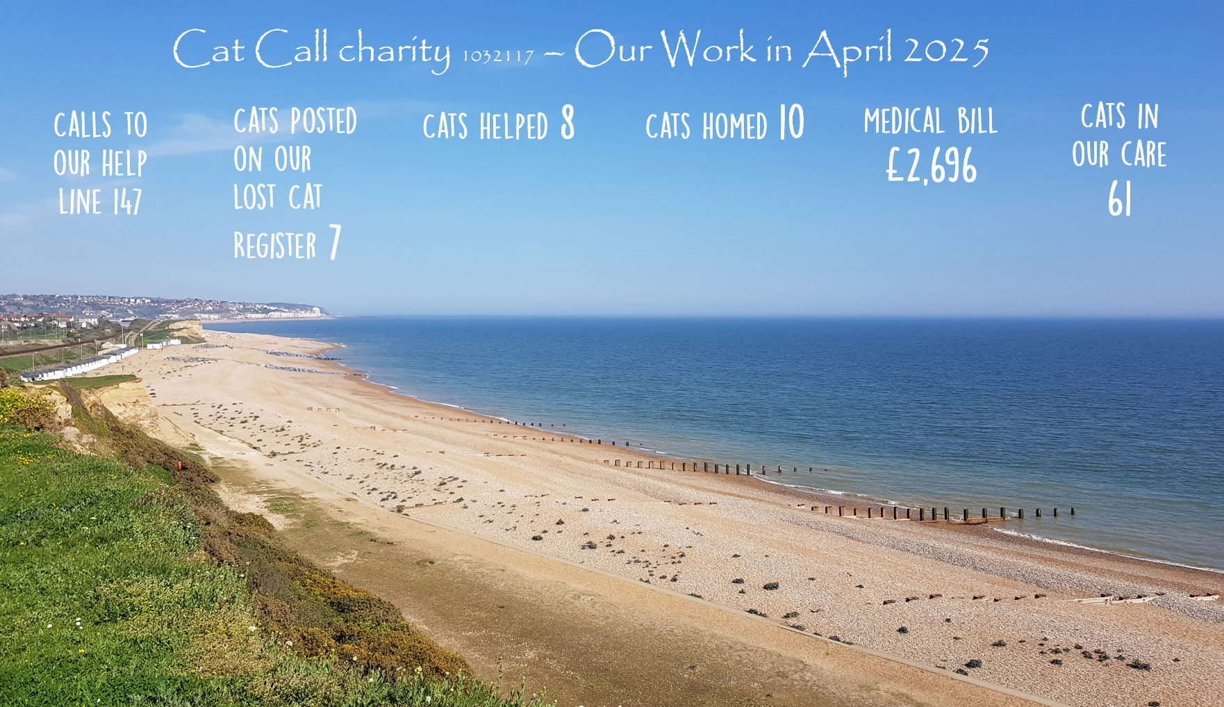 Cat Call Charity in Hastings
