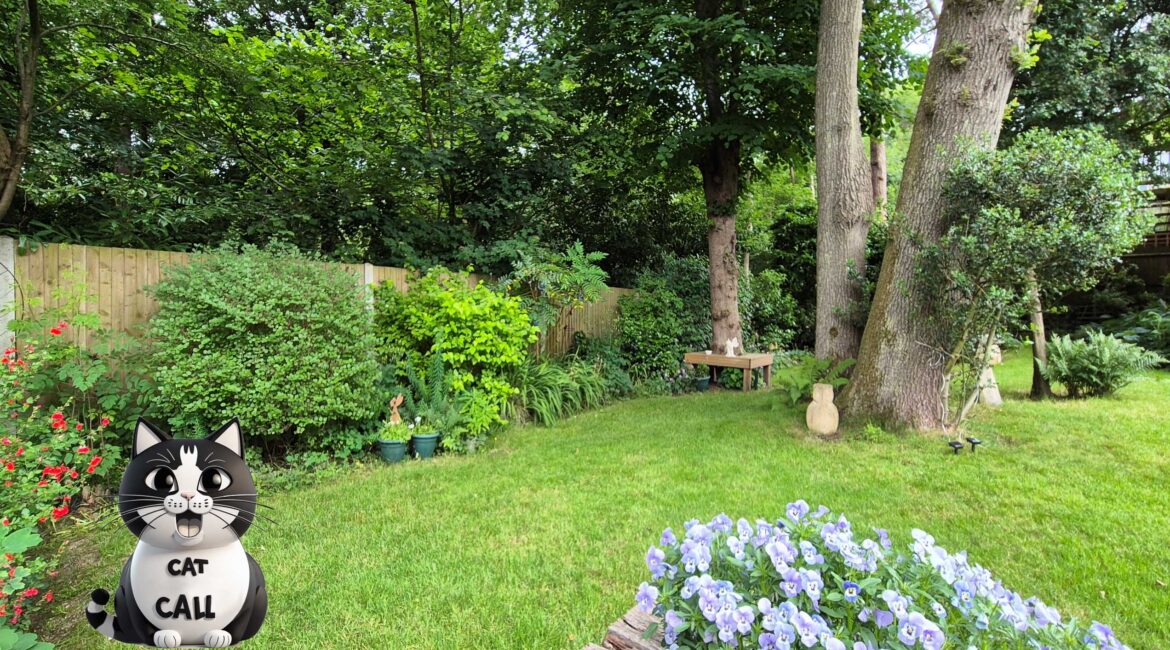 Open Garden Event – Raising Funds for our work caring for Cats in Need Saturday 21st June | 1:30pm – 4:30pm Open Garden Event – Raising Funds for our work caring for Cats in Need Saturday 21st June | 1:30pm – 4:30pm